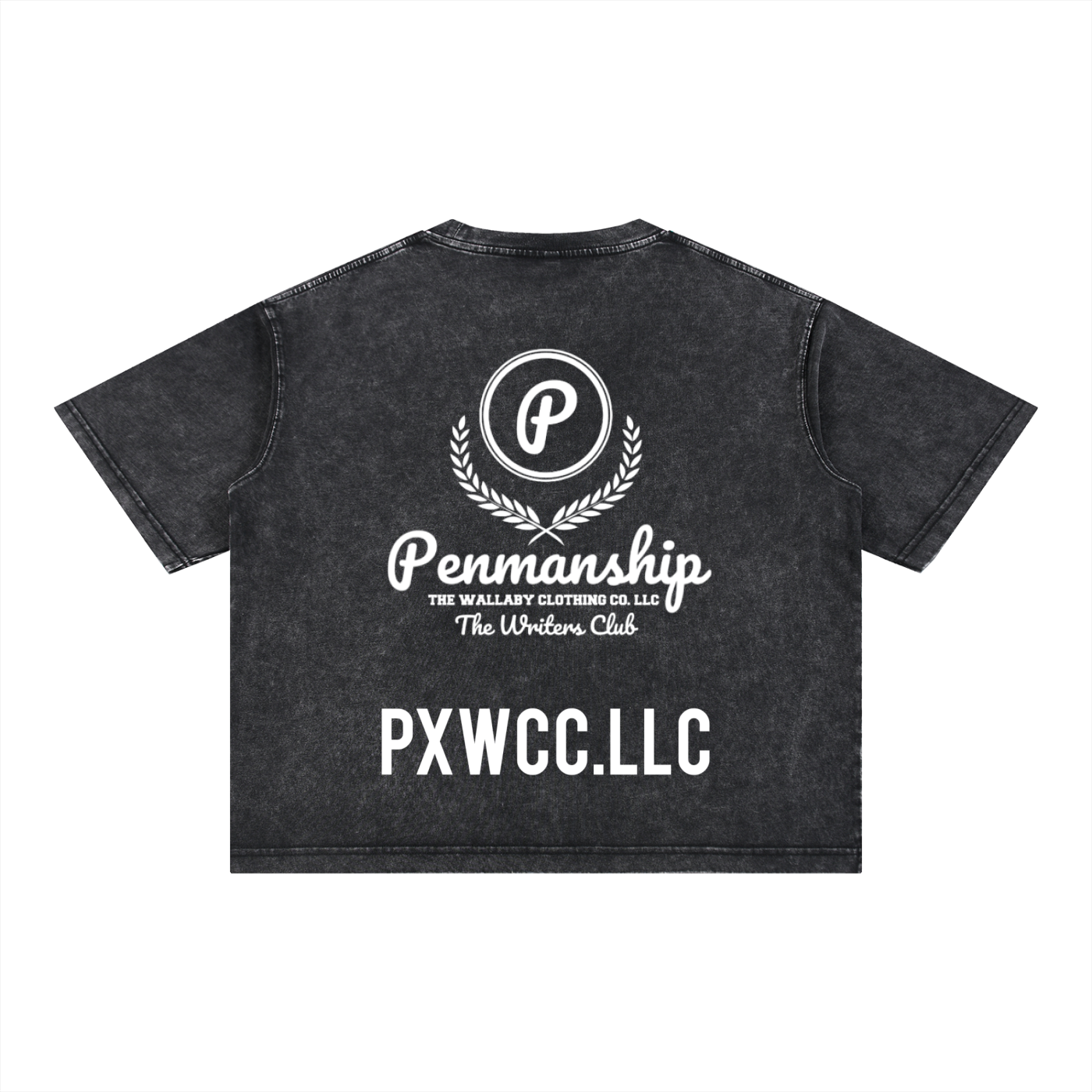 Penmanship Mineral Wash Boxy Cotton T-Shirt