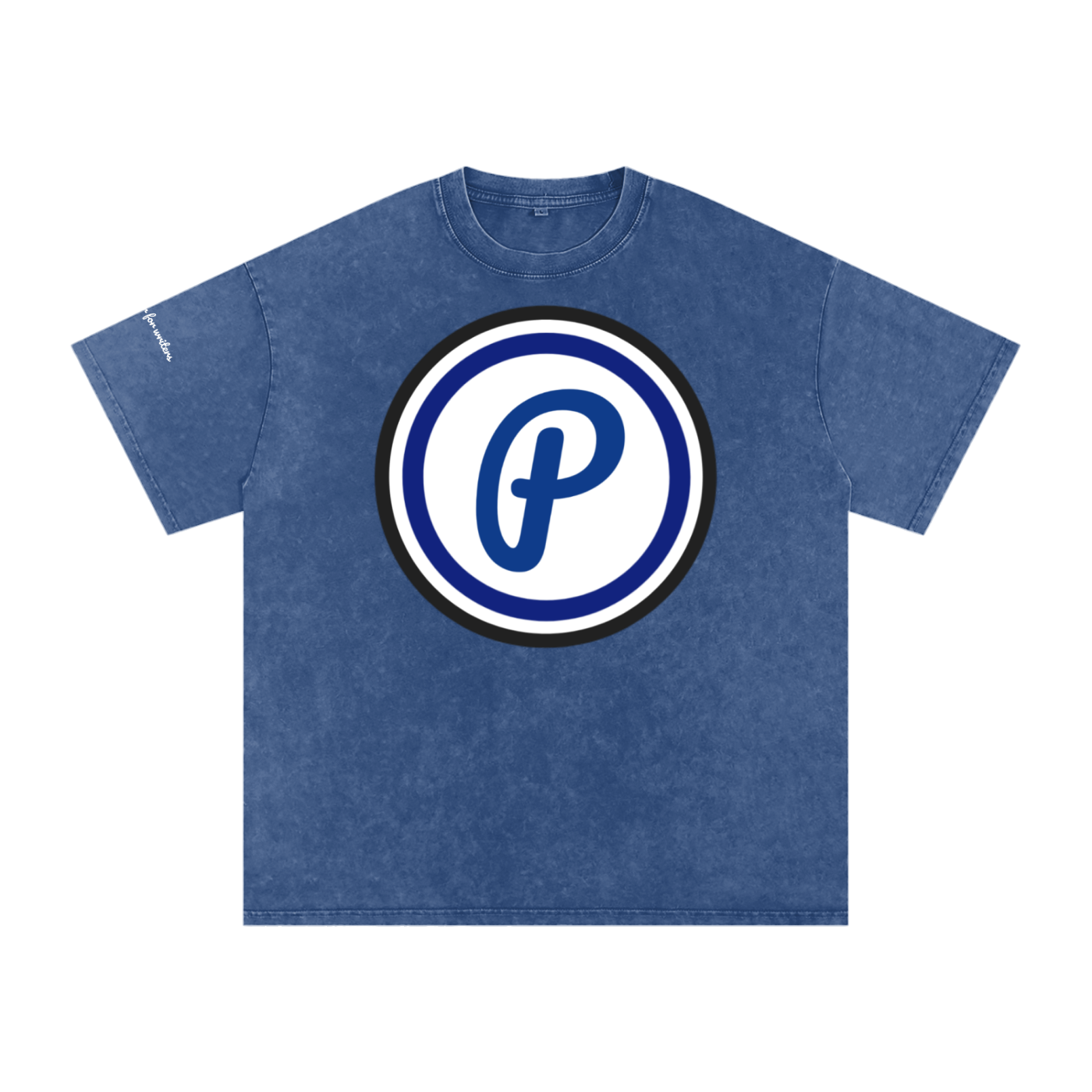 Penmanship Snow Washed Oversized Cotton T-Shirt