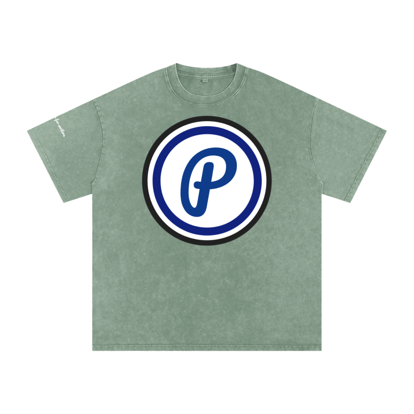 Penmanship Snow Washed Oversized Cotton T-Shirt