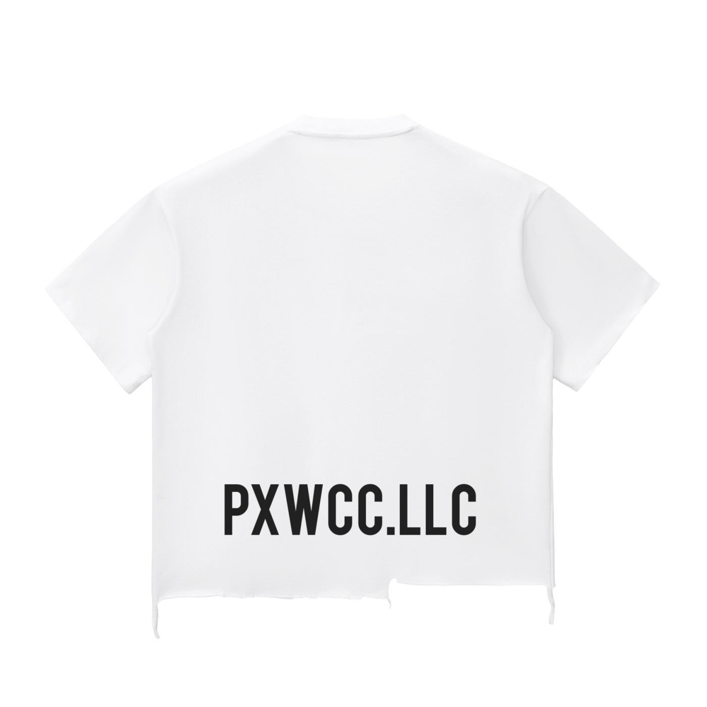 Penmanship Wash Raw-Hem Boxy T-shirt