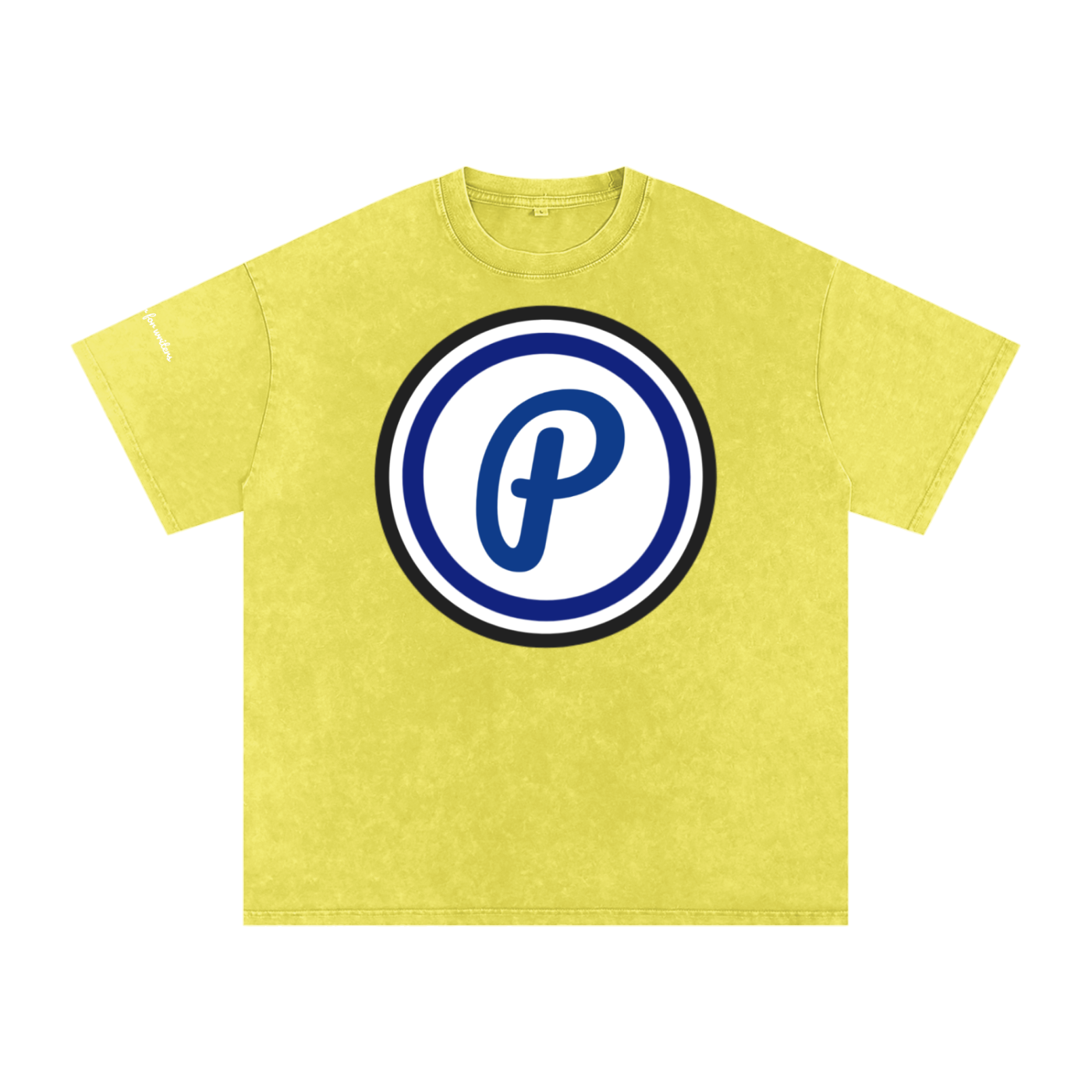 Penmanship Snow Washed Oversized Cotton T-Shirt
