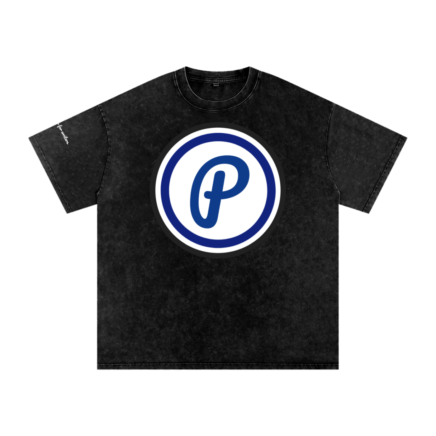 Penmanship Snow Washed Oversized Cotton T-Shirt