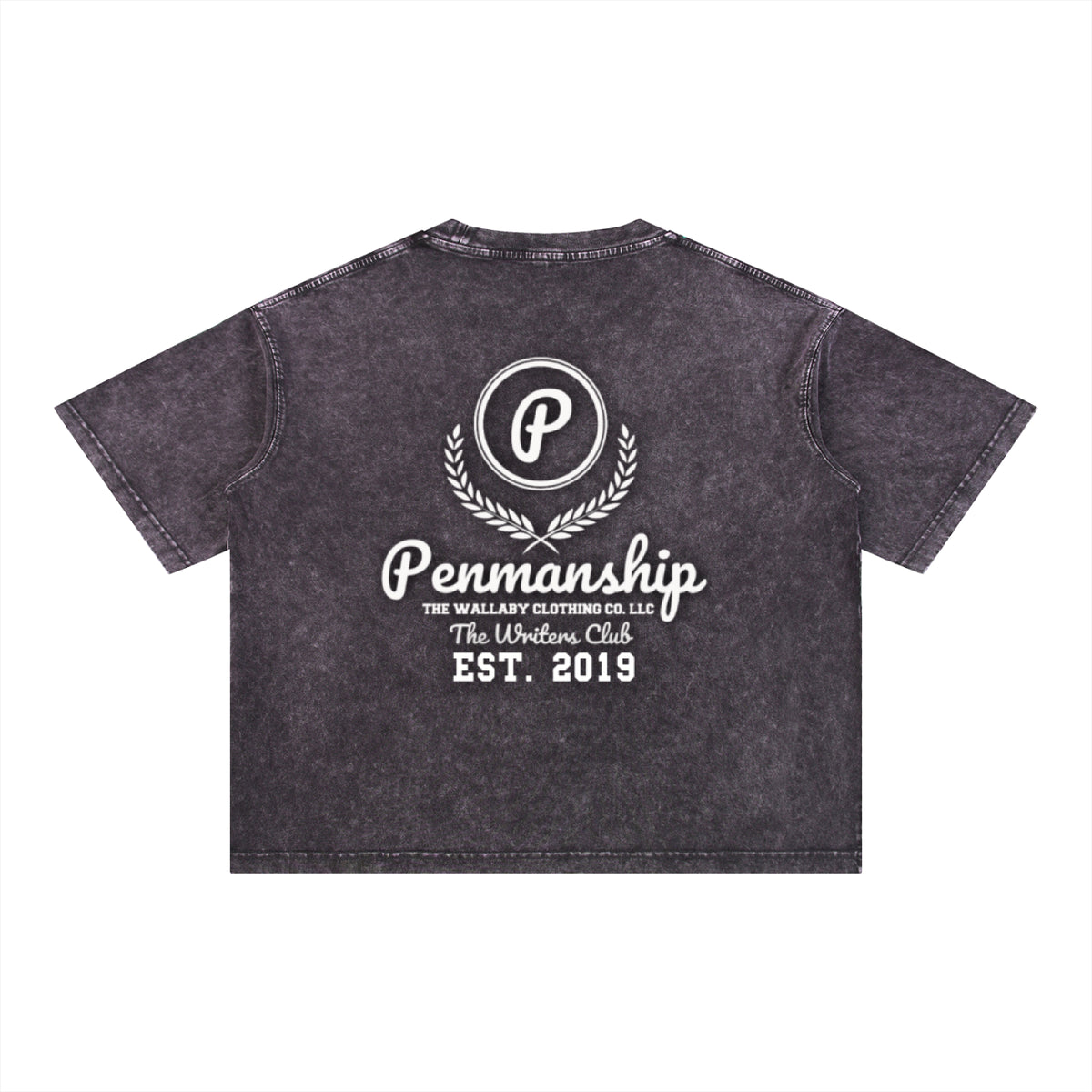 Penmanship Mineral Wash Boxy Cotton T-Shirt