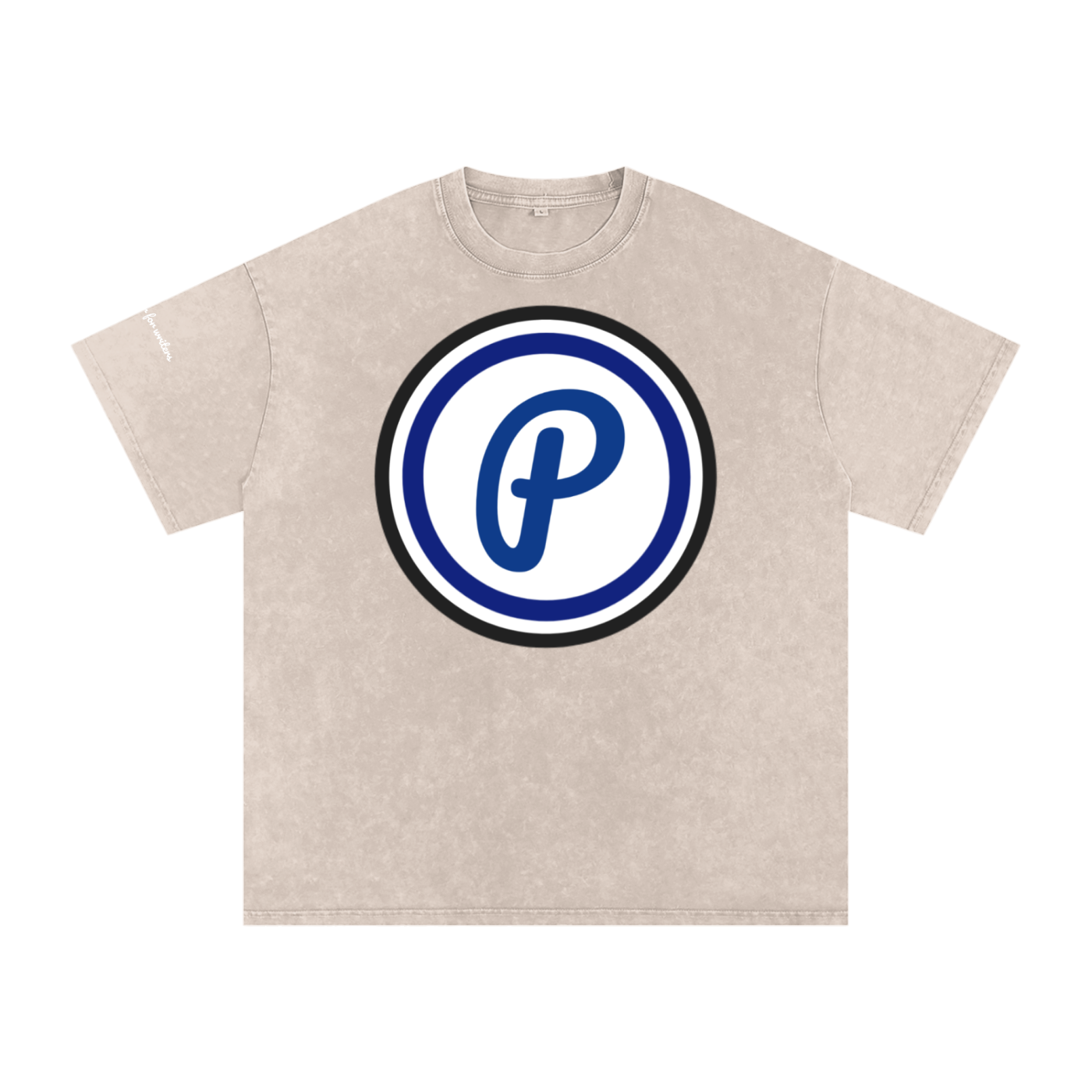 Penmanship Snow Washed Oversized Cotton T-Shirt
