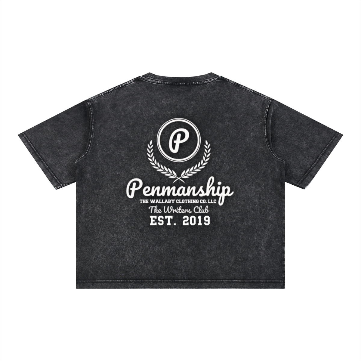 Penmanship Mineral Wash Boxy Cotton T-Shirt